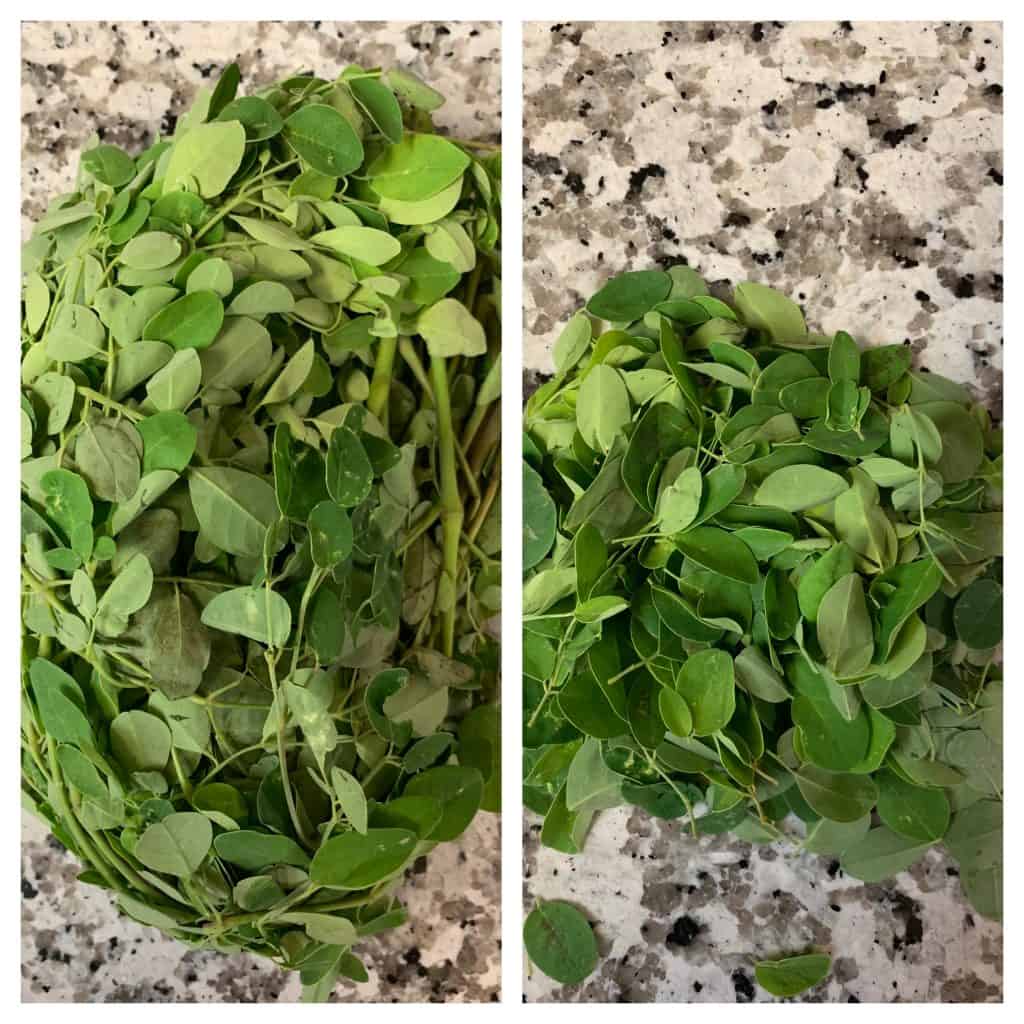 step to separate moringa leaves from the stems collage