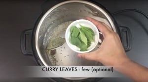 add curry leaves and other spices