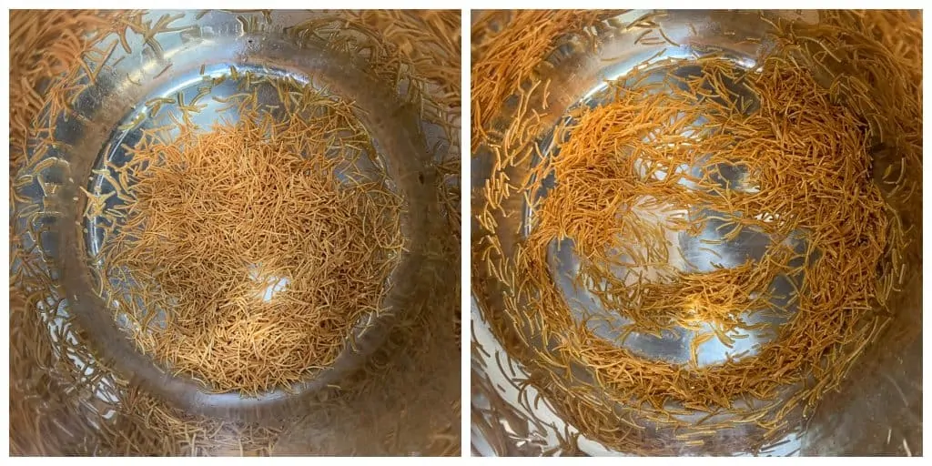 step to roast the vermicelli collage
