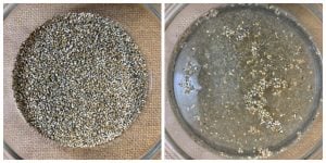 bajra (pearl millet)soaked in water