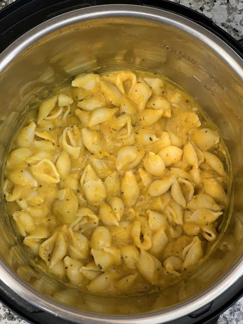 butternut squash pasta in instant pot insert