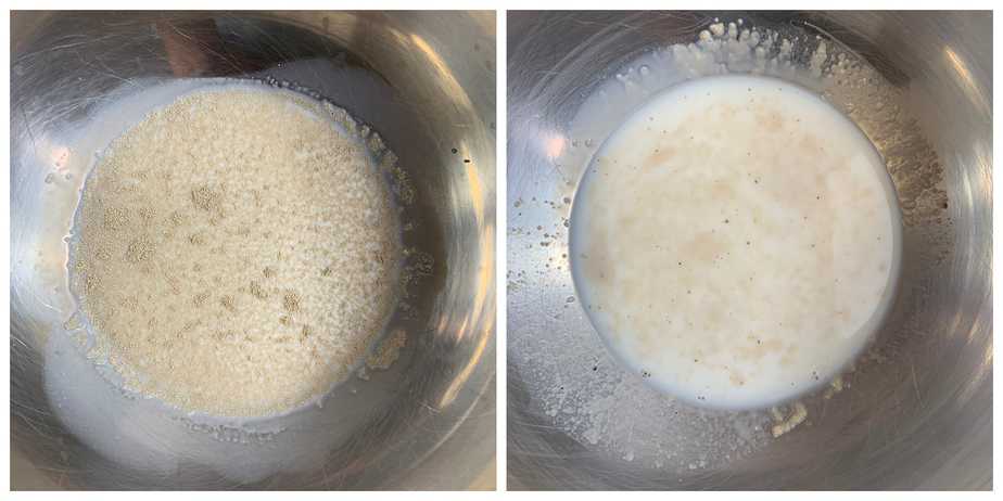step to activate yeast in milk collage