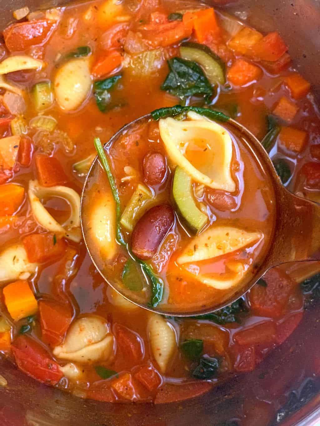 minestrone soup in a soup