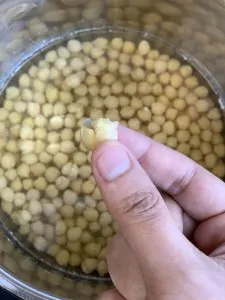 breaking boiled chickpeas in hand