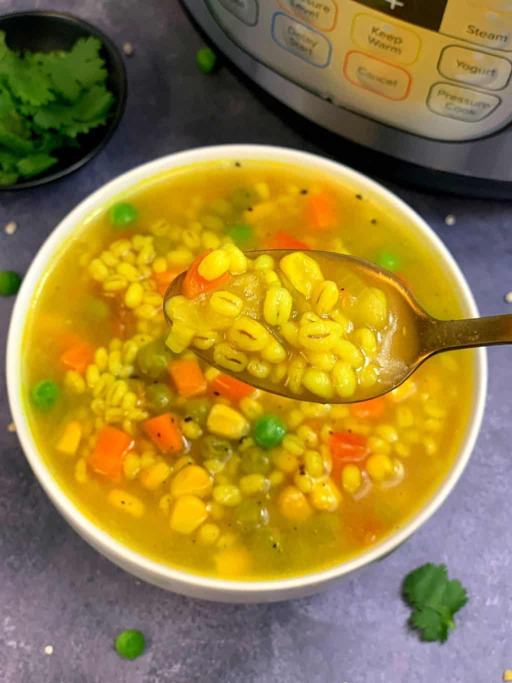 Instant Pot Vegetable Barley Soup Indian Veggie Delight