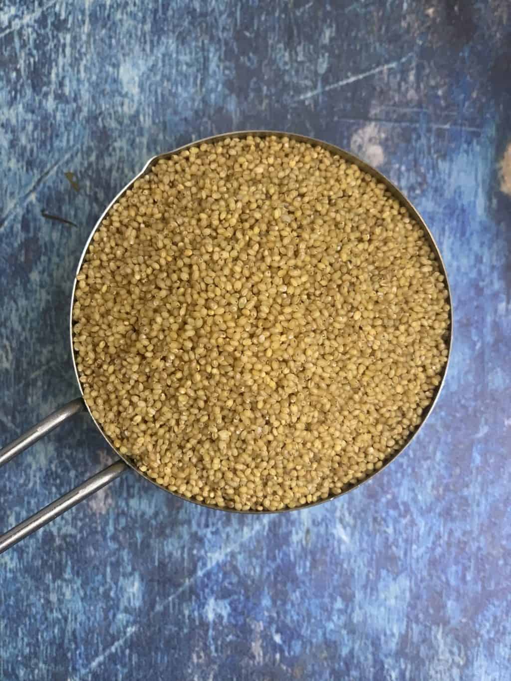 Foxtail Millet in a measuring cup