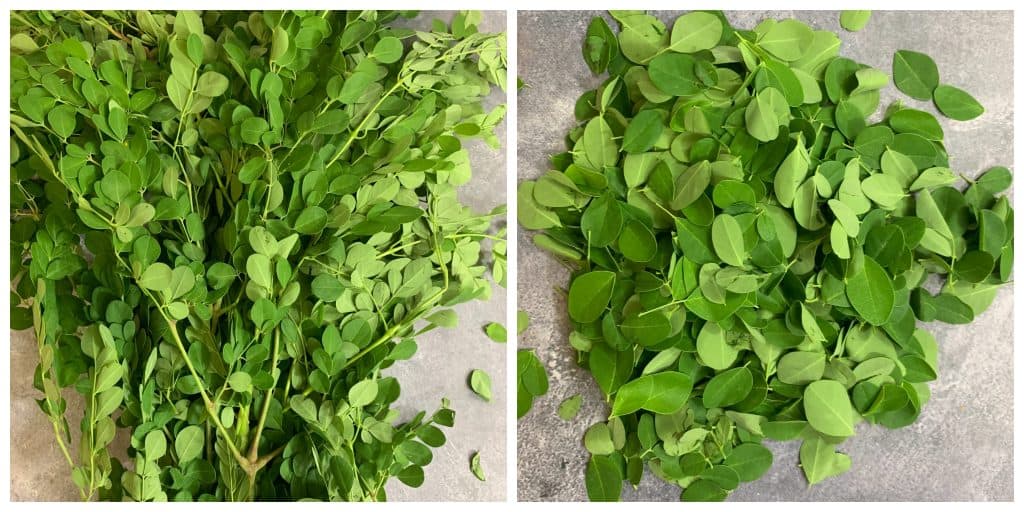 moringa leaves destemed