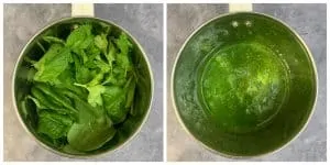 step to blend spinach cilantro pudina into a smooth paste collage
