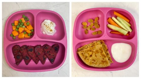 Healthy Indian Toddler & Preschooler Breakfast Ideas - Indian Veggie