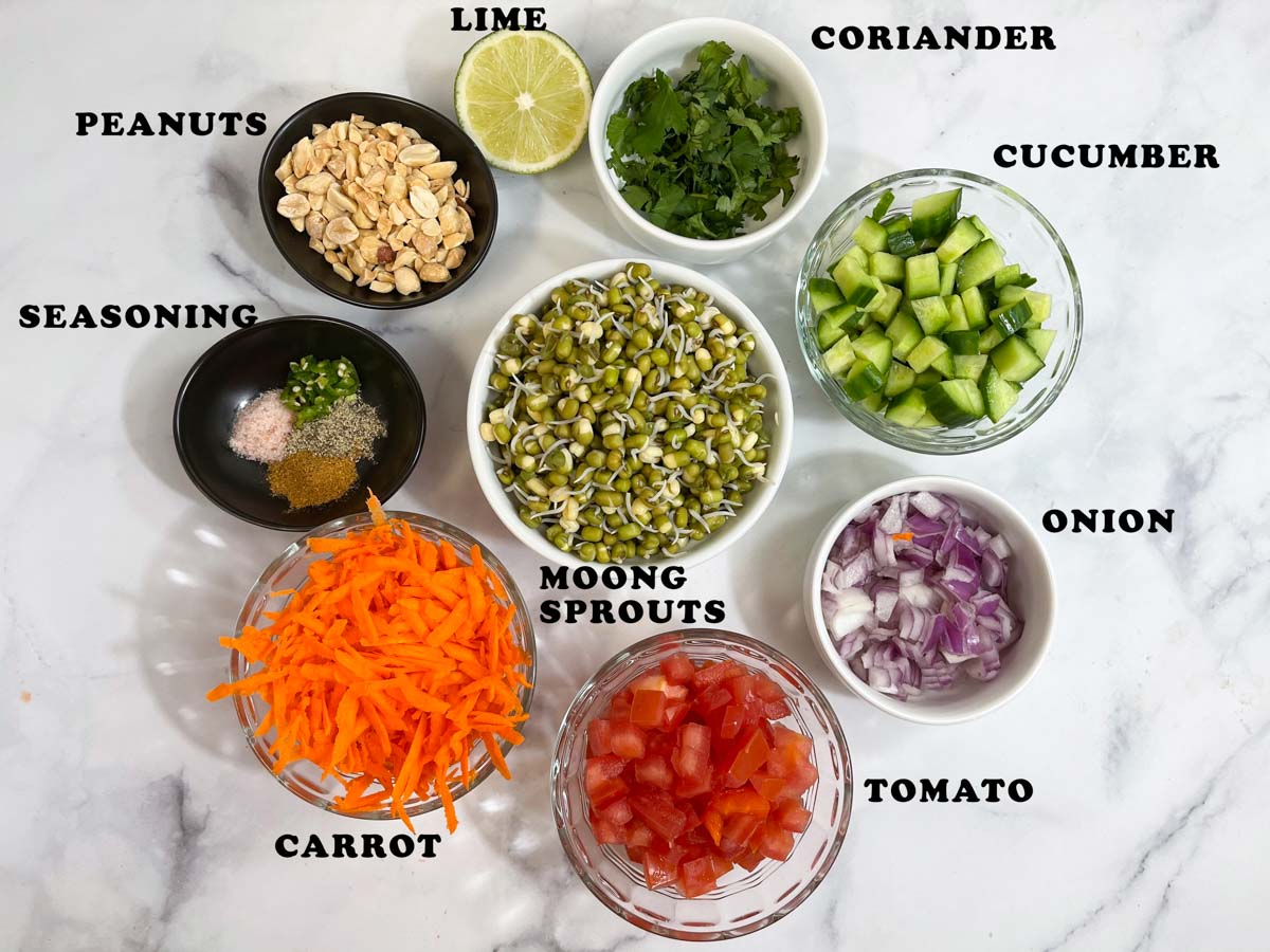 Sprouted Moong Salad Ingredients