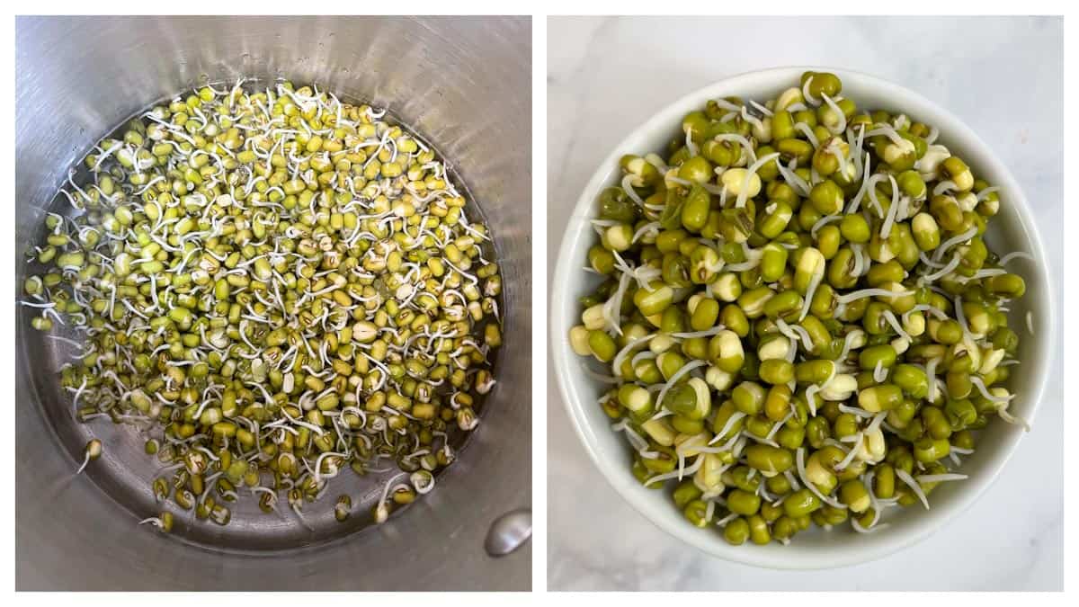 step to parboil mung bean sprouts in a pot collage