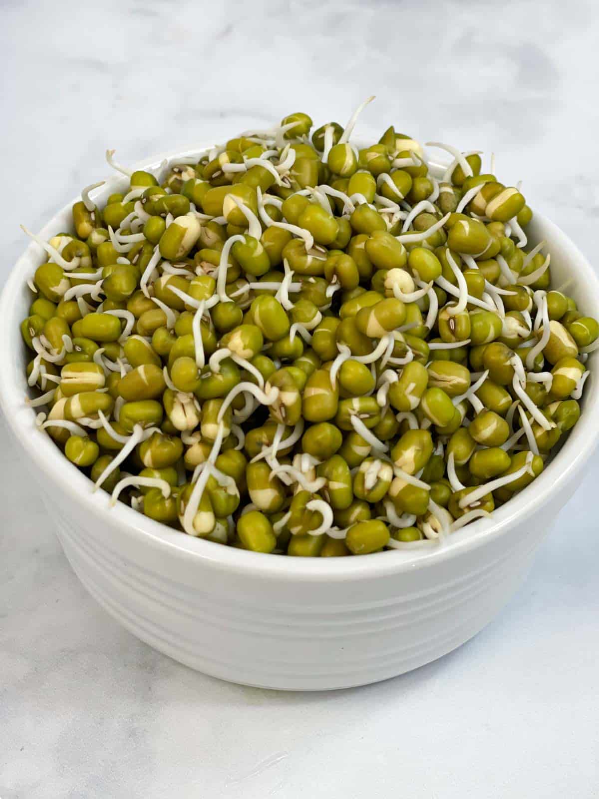 mung bean sprouts in a bowl