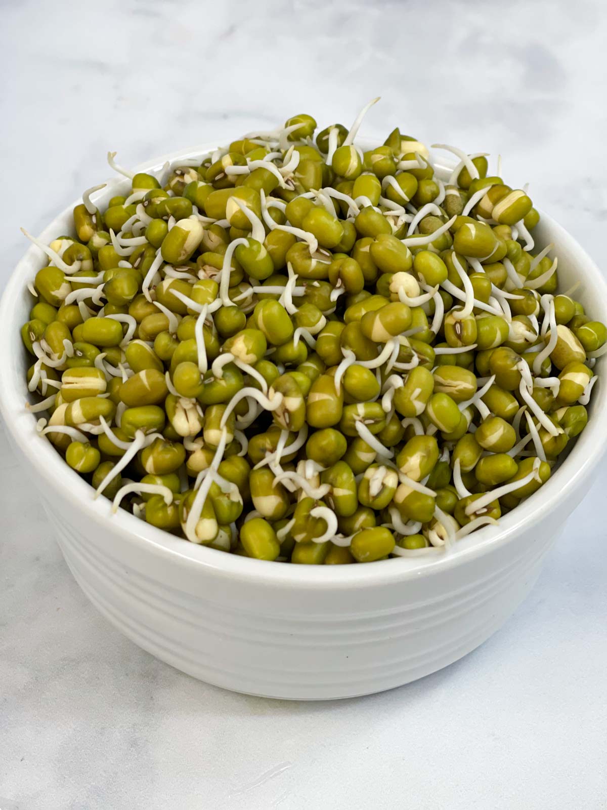 mung bean sprouts in a bowl