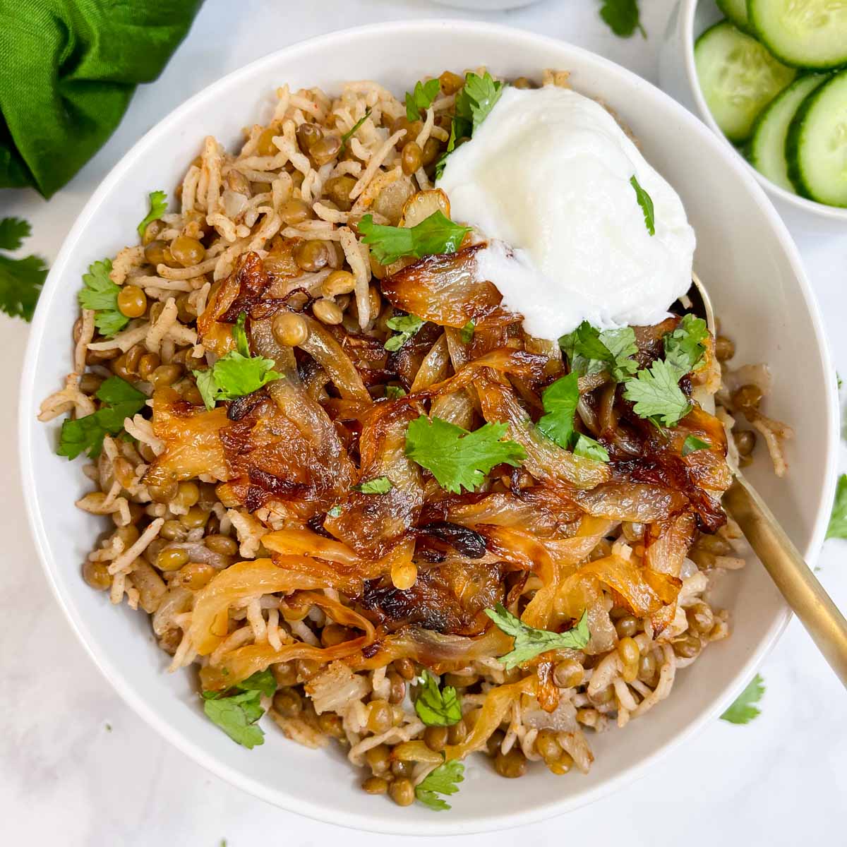 instant pot mujadara served in a bowl garnished with fried onions and cilantro topped with greek yogurt