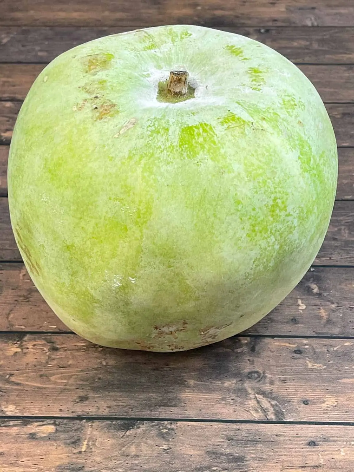 whole ash gourd (winter melon)