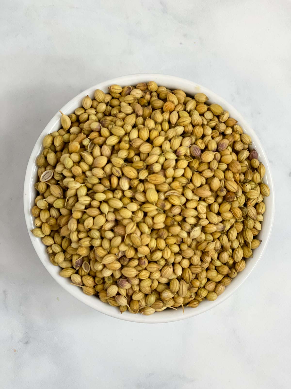 coriander seeds in a white bowl