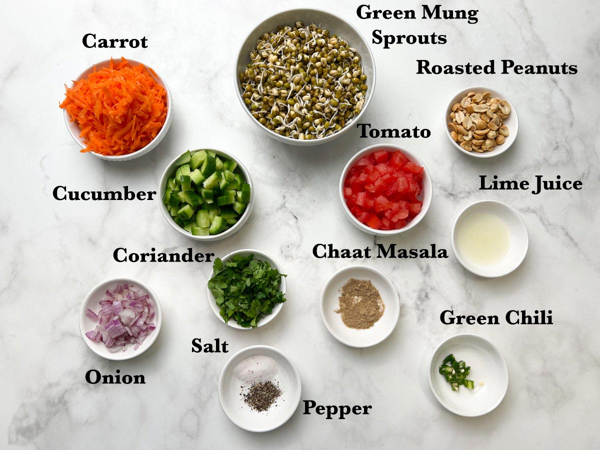 Sprouted Moong Bean Salad Ingredients