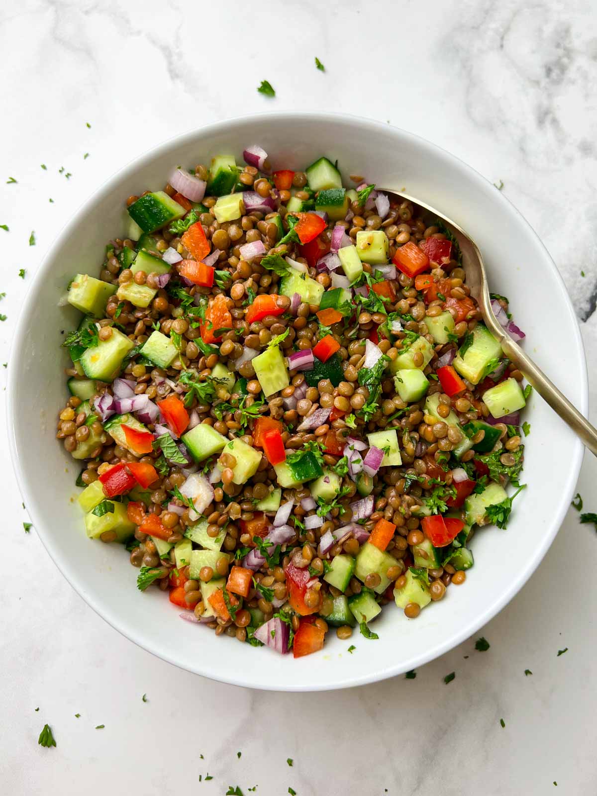 brown lentil salad served in a white bowl with a spoon