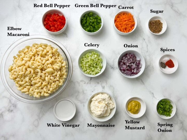 Macaroni Salad Recipe (Cold Pasta Salad) Indian Veggie Delight