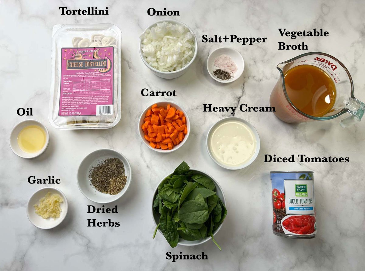 Tortellini Soup Recipe Ingredients