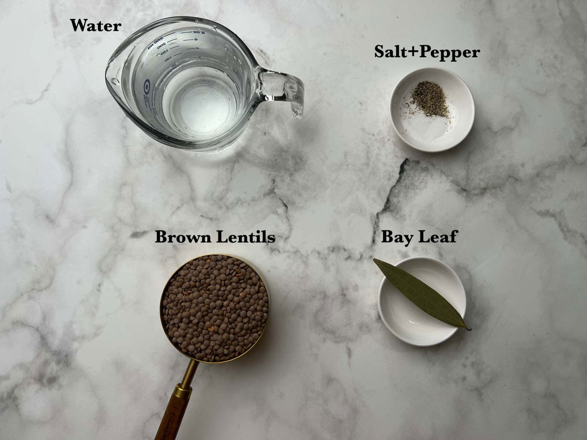 pressure cooker lentils ingredients