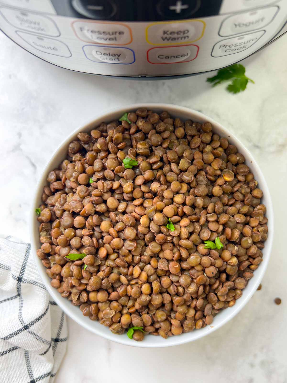 cooked instant pot brown lentils served in a bowl with instant pot on the side