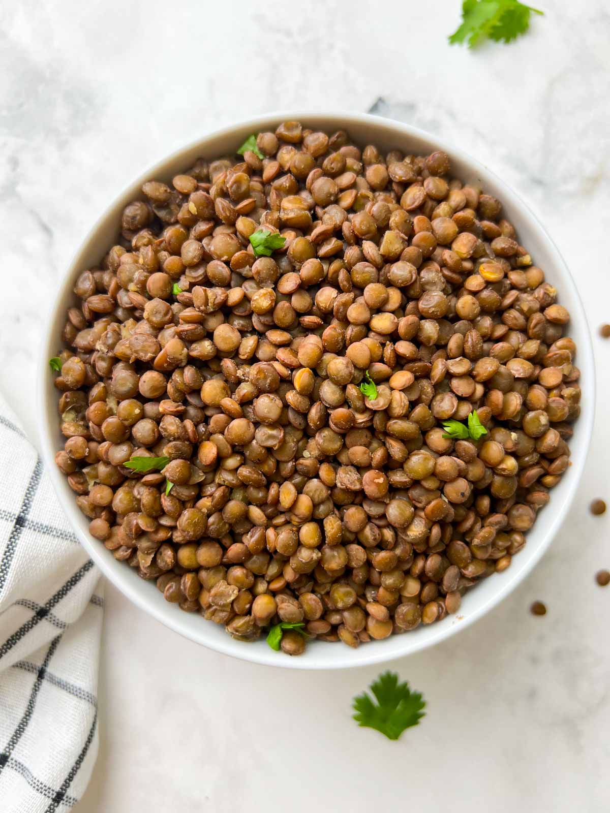 instant pot perfectly cooked  lentils in a white bowl garnished with coriander leaves