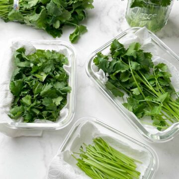 Cilantro stored in glass container, mason jar.