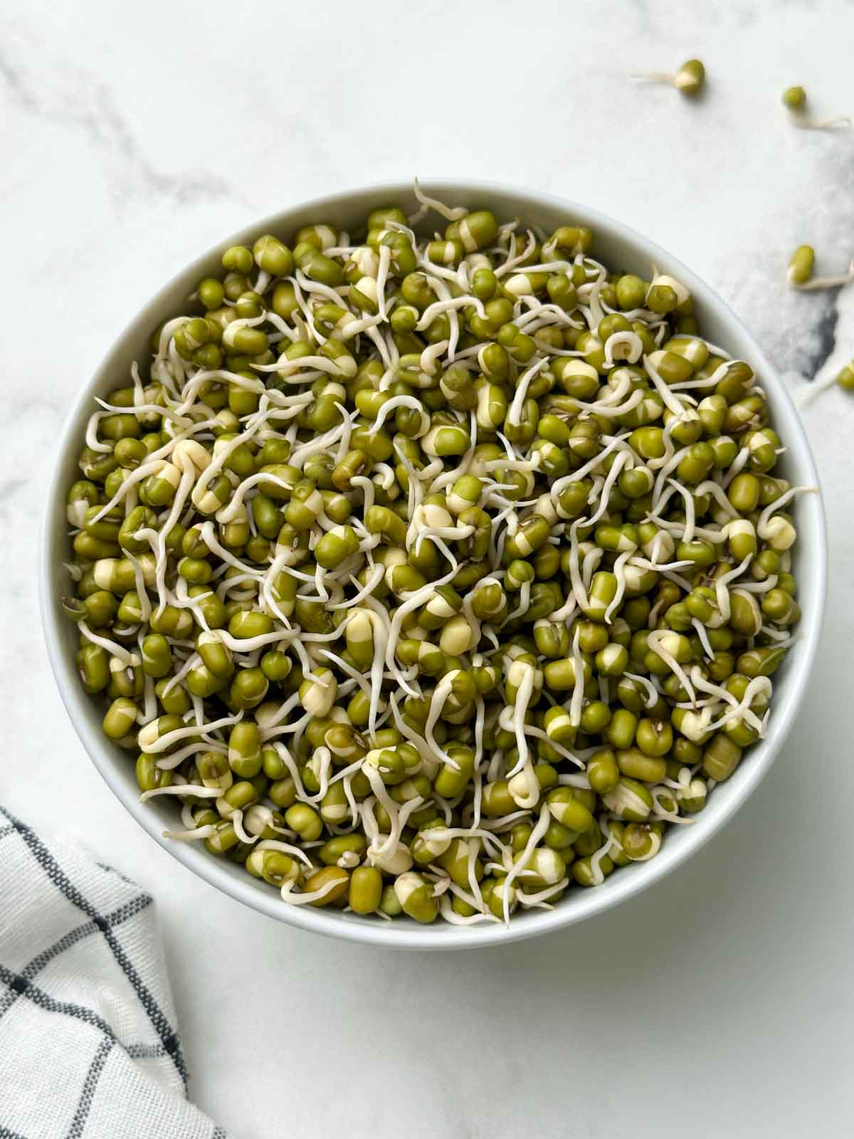 sprouted moong beans in a bowl