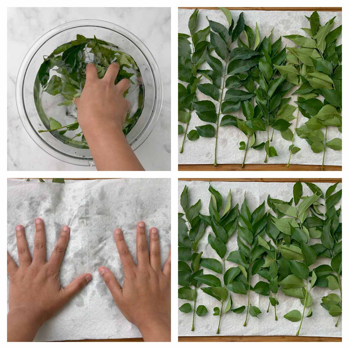 cleaning and drying curry leaves collage