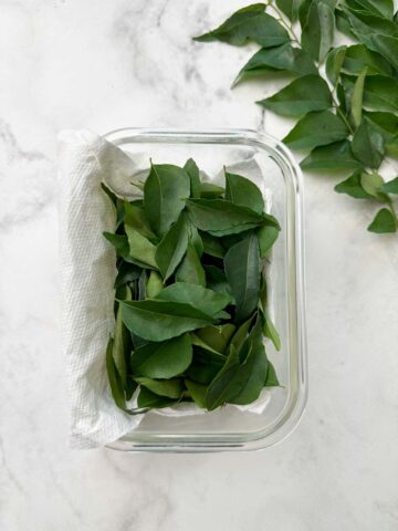 curry leaves in an airtight container