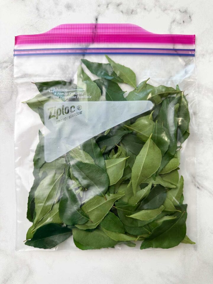 How to Store Curry Leaves Indian Veggie Delight