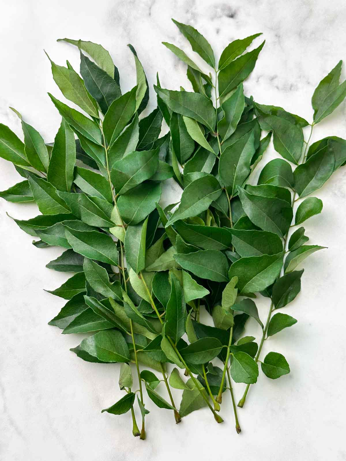 stalks of curry leaves