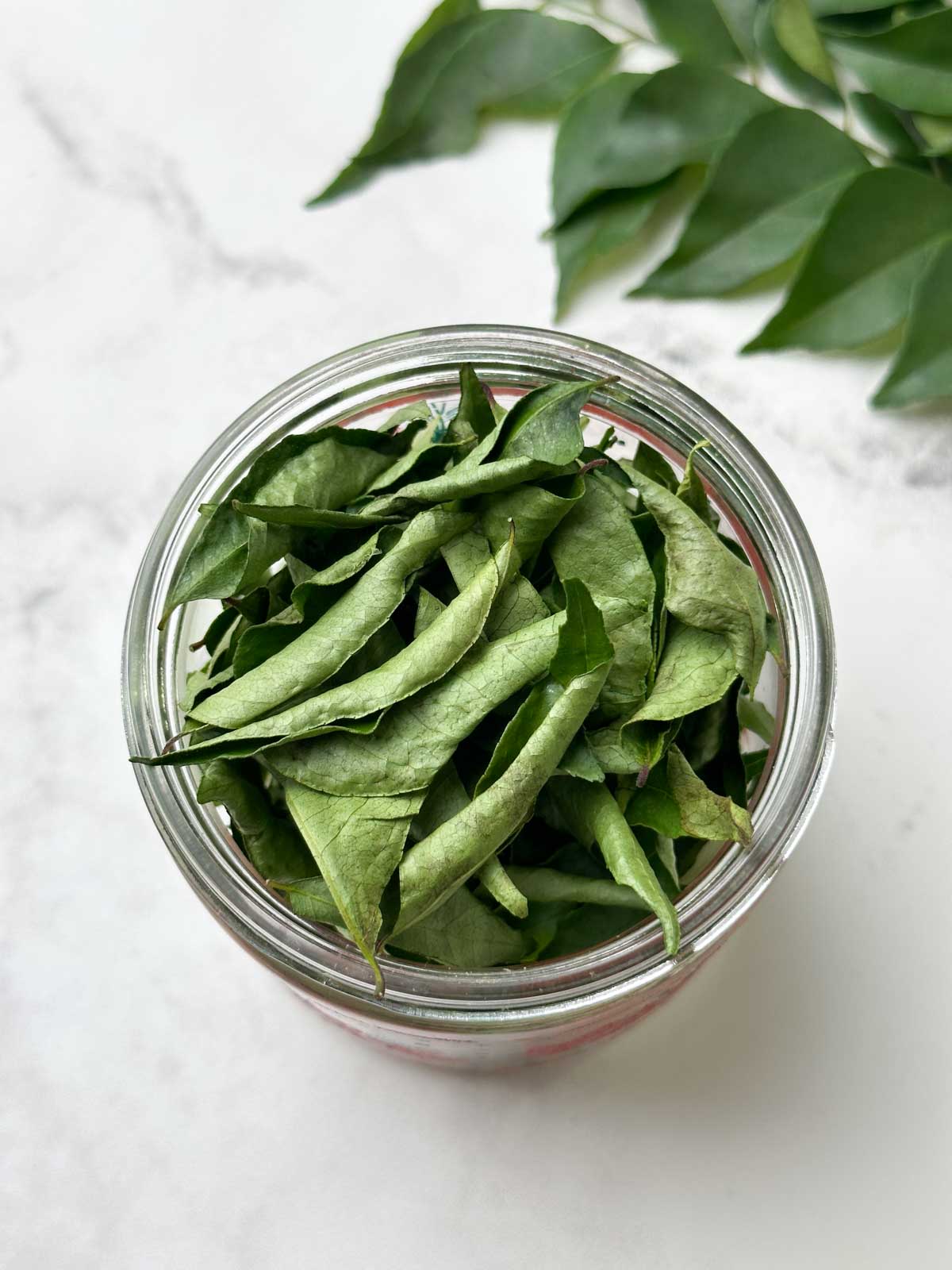 dried kadi patta in a glass jar