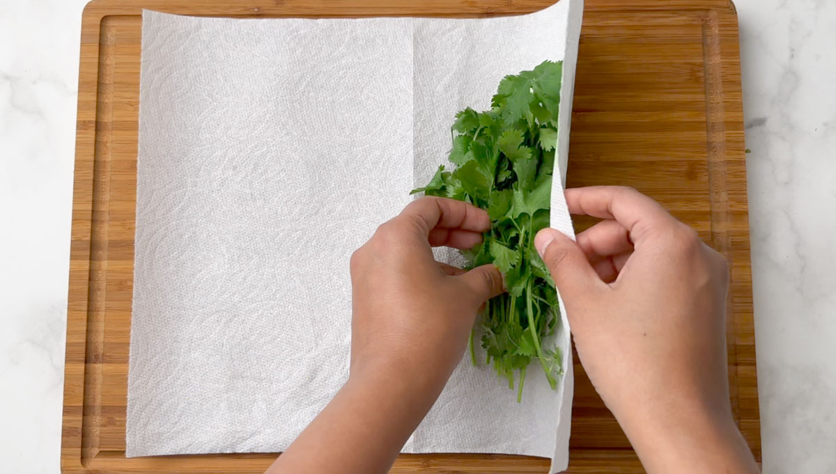 wrap cilantro in paper towel