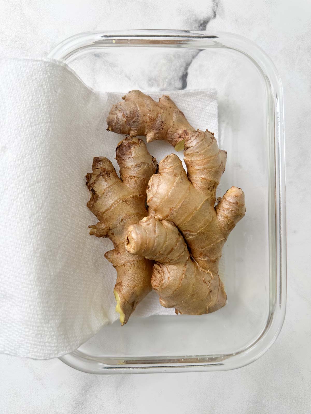 ginger root in a paper towel lined airtight container