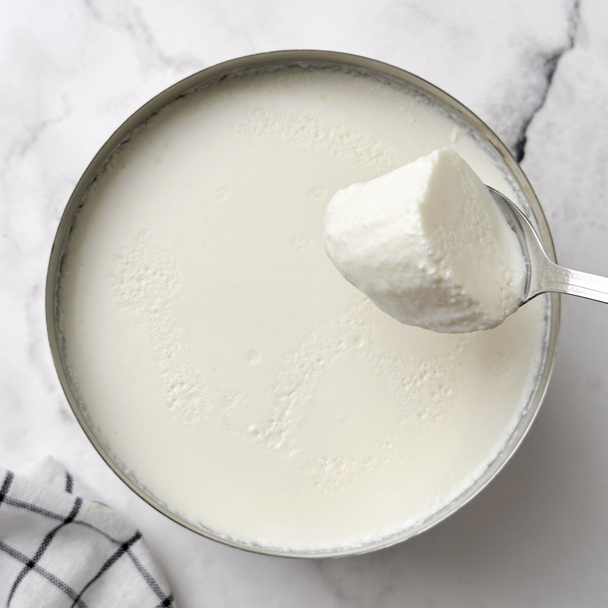 a bowl of fresh homemade curd (yogurt) with a spoon full of curd