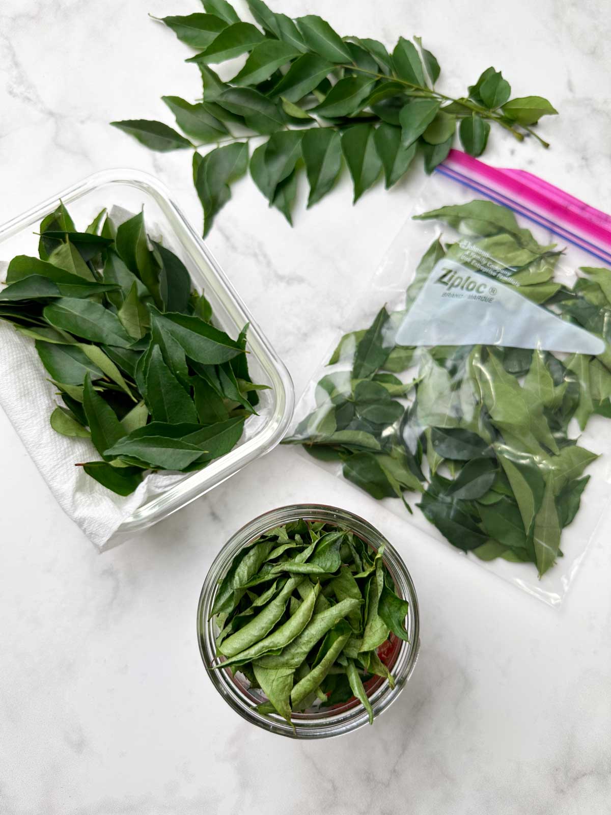 storing curry leaves in a container, ziplock bag and dried curry leaves in a glass container
