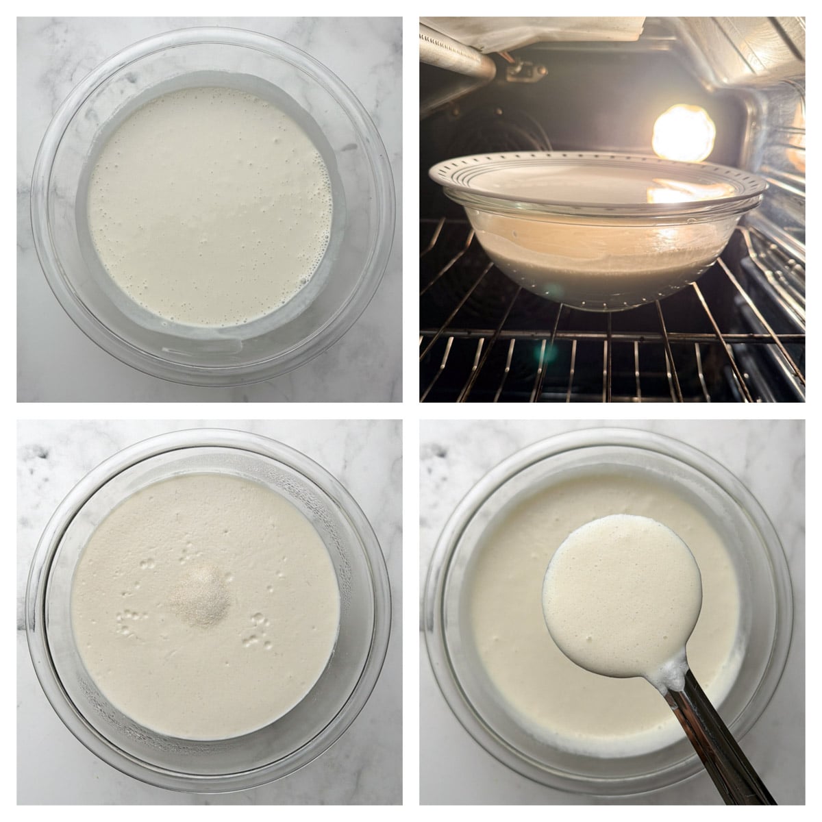 Step to add salt and ferment it in the oven light collage
