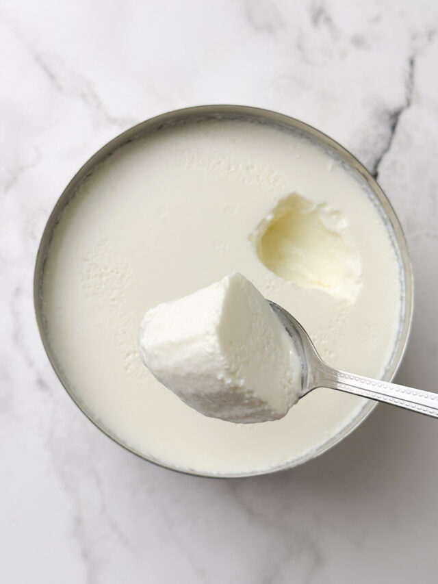Dhai How to Make Curd (Dahi - Indian Yogurt) - Indian Veggie Delight