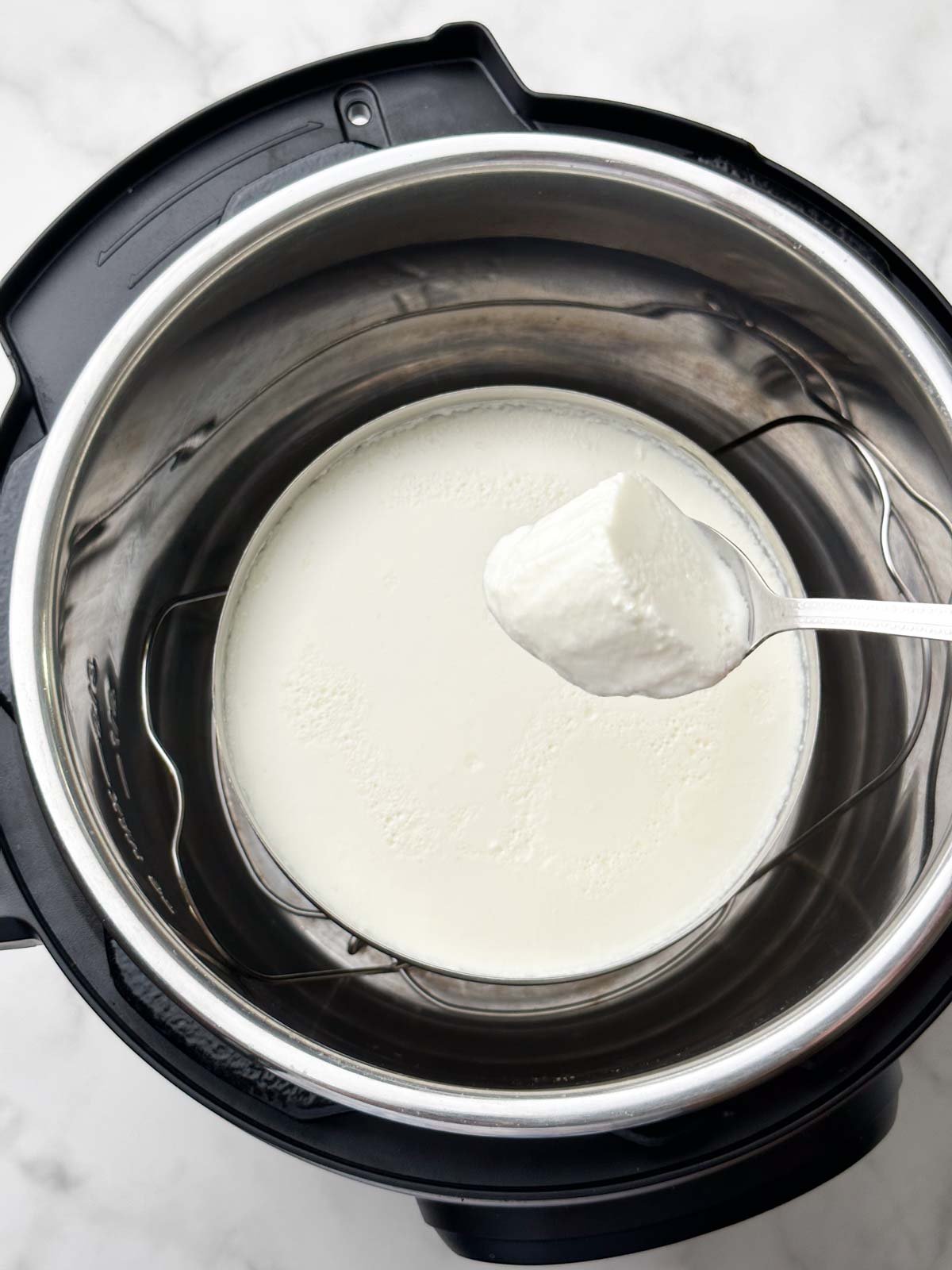 fresh indian yogurt in the instant pot with a spoon full of curd