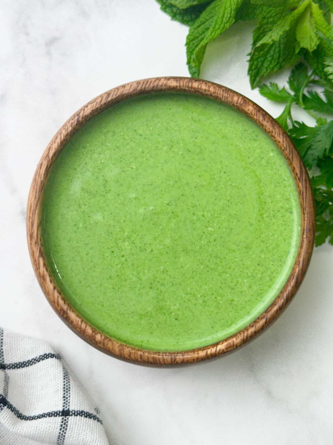 Mint Yogurt Chutney Indian Veggie Delight