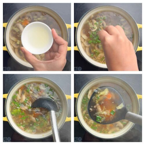 Veg Clear Soup Recipe - Indian Veggie Delight