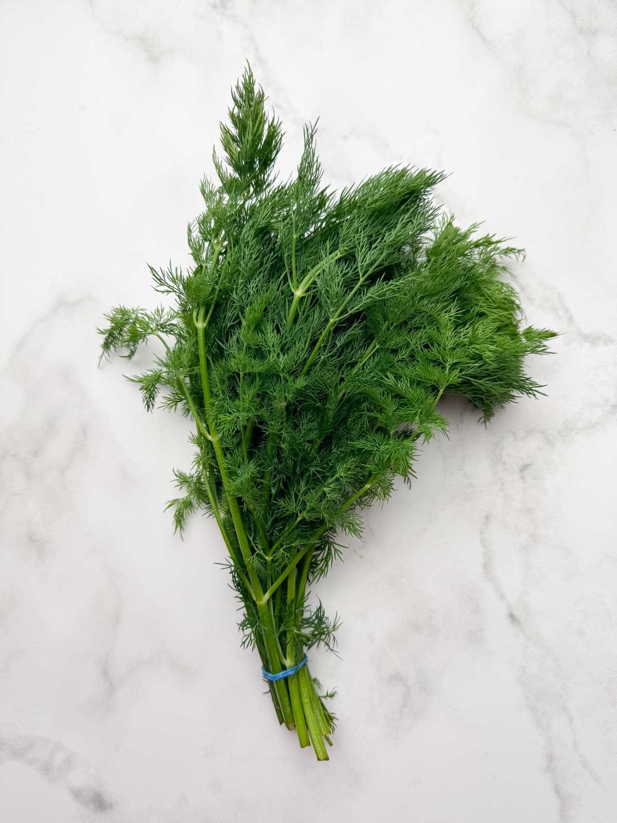 a bunch of dill leaves