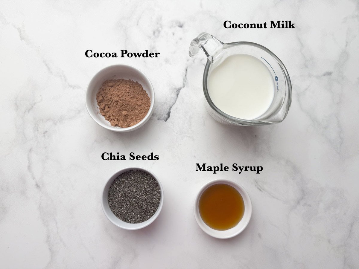 chocolate chia pudding recipe ingredients.