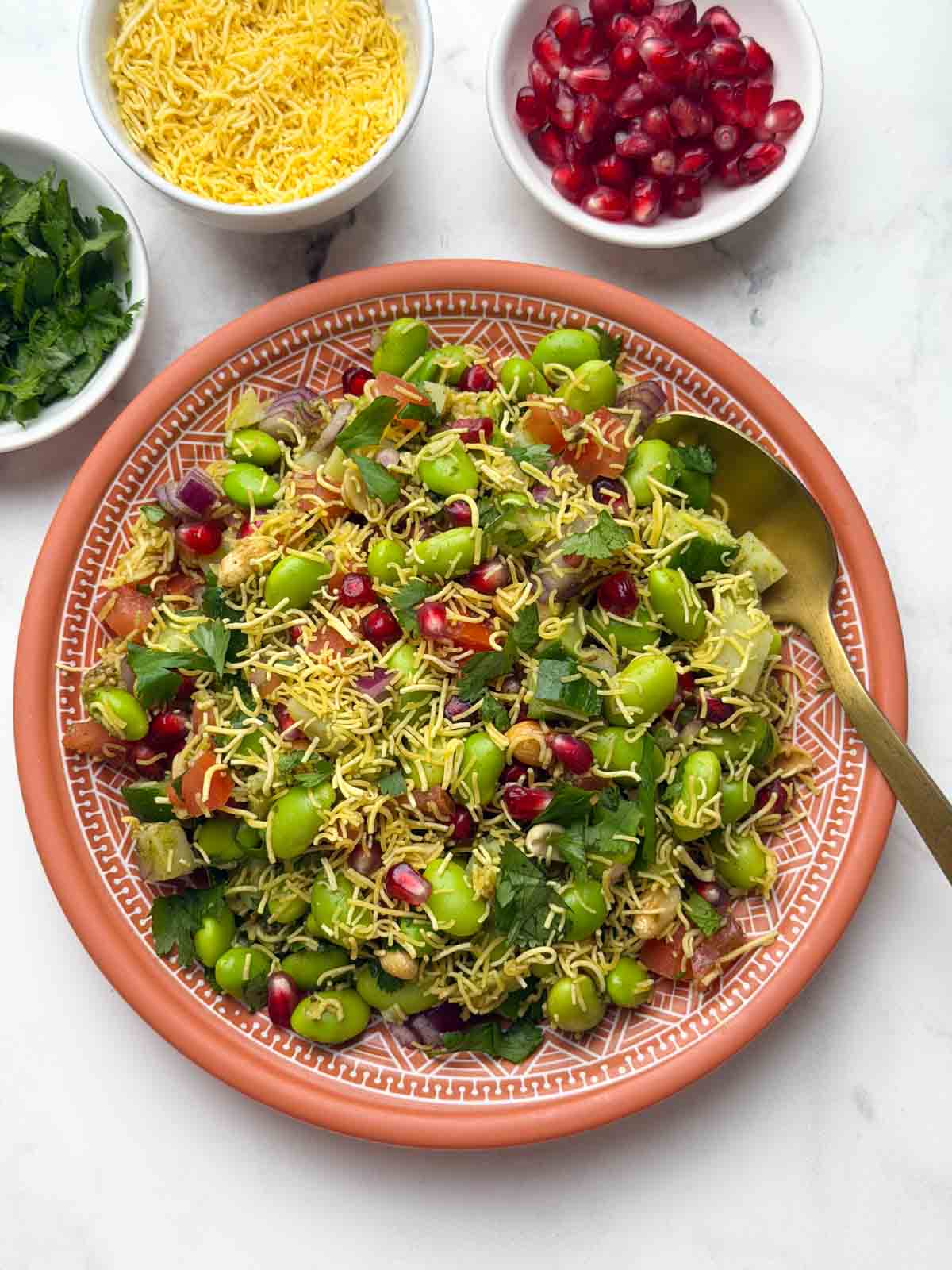 Edamame chaat served on a brown plate, garnished with sev, with a spoon on the side. Small bowls of chopped coriander, sev, and pomegranate are placed alongside.