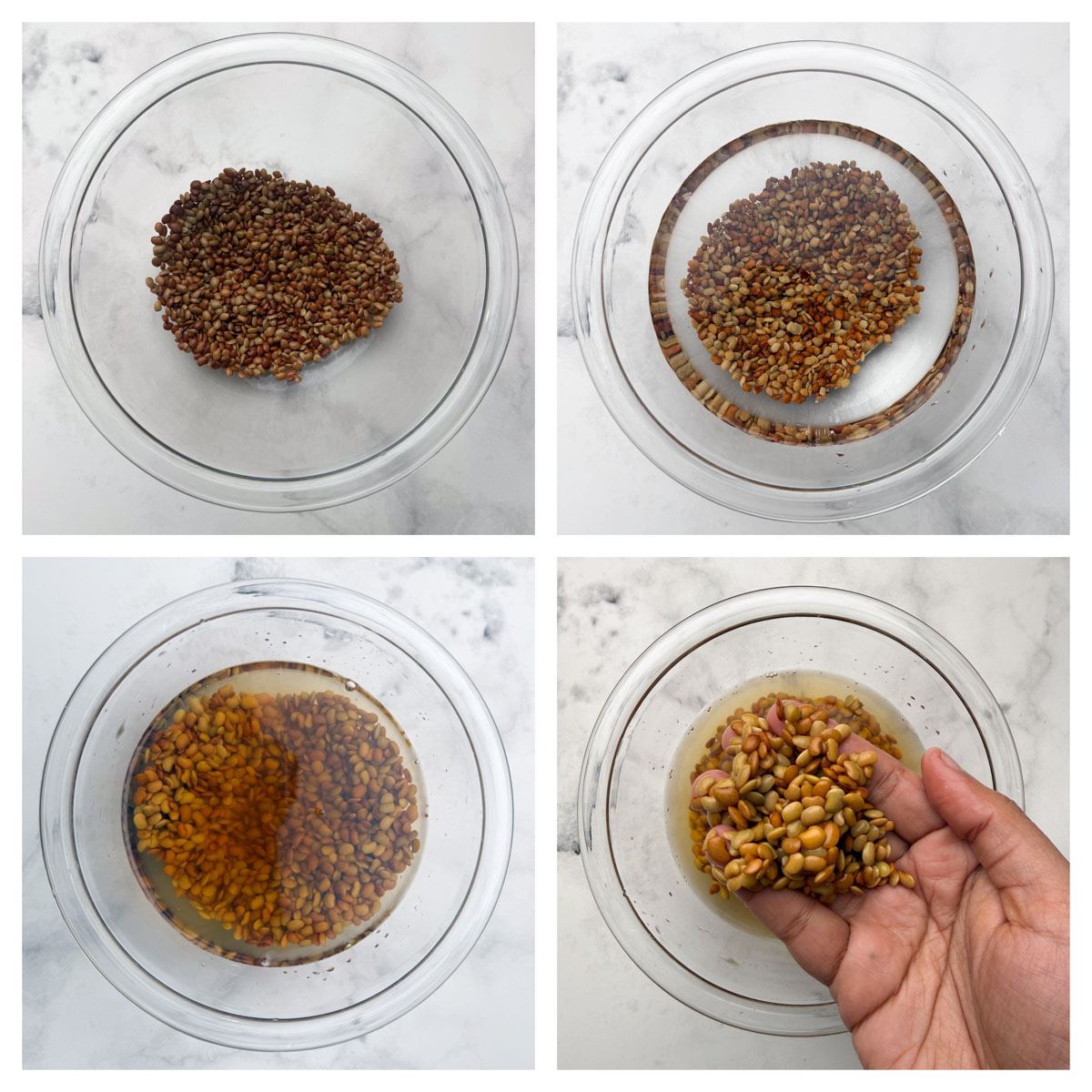 Step to soak the horse gram in water in a large glass bowl collage